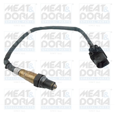 Oxygen Sensor
